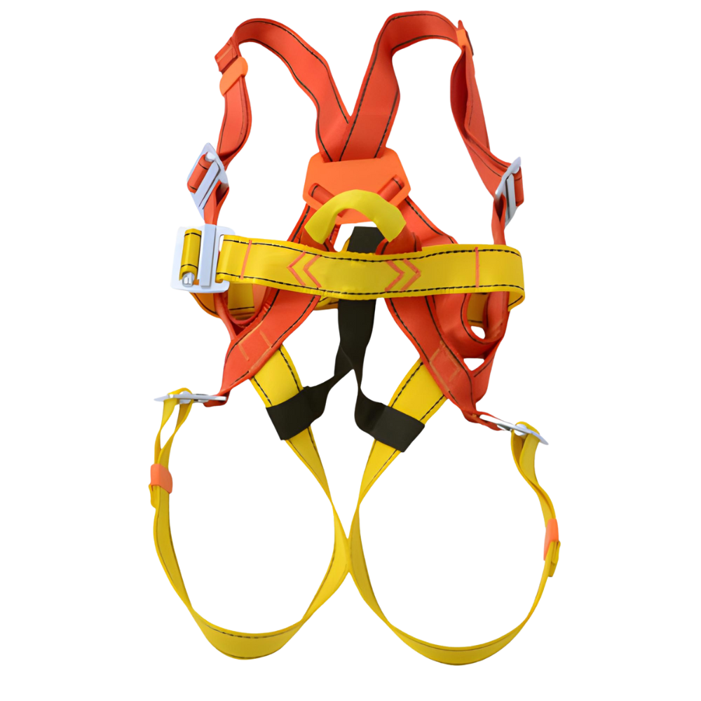 Safety Belts